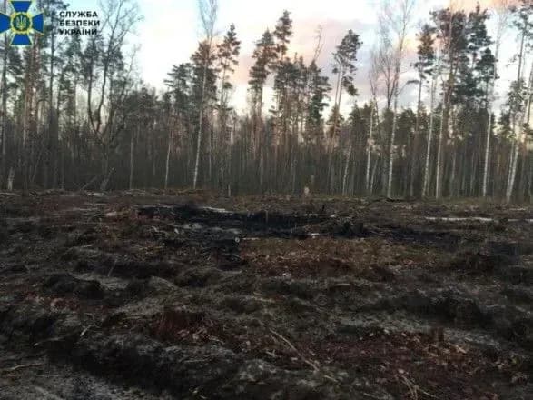 Боротьба зі зловживаннями у сфері природокористування: у СБУ повідомили статистику з початку року