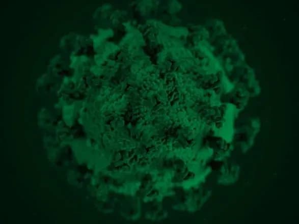 Черговий антирекорд: в Україні виявлено вже понад 78,2 тис. випадків COVID-19, за добу - 1453