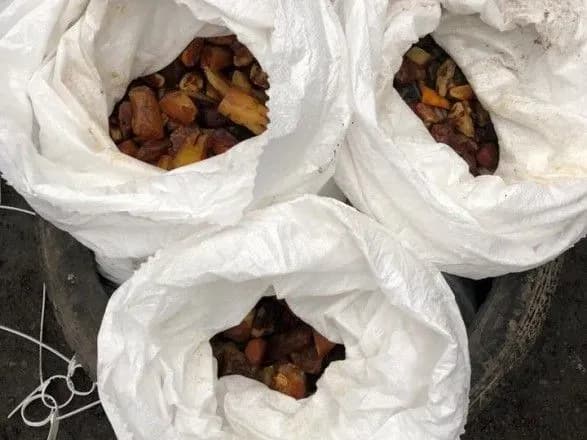 Сільський голова з Рівненщини піде під суд за перевозку бурштину