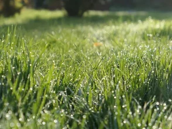 Від 12° до 31° тепла: прогноз погоди на сьогодні