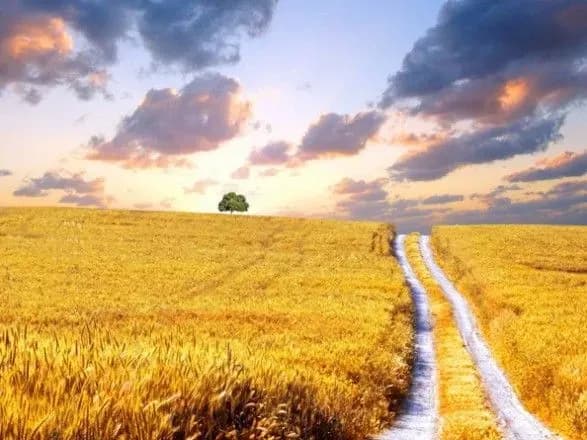 В Україні готуються представити стратегію створення національної системи управління ландшафтами