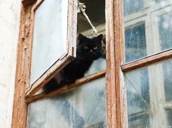 Страйком "Білоруськалію": активіст через кватирку у вбиральні КДБ втік в Україну