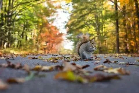 У найближчі три дні в Україні без опадів — синоптики