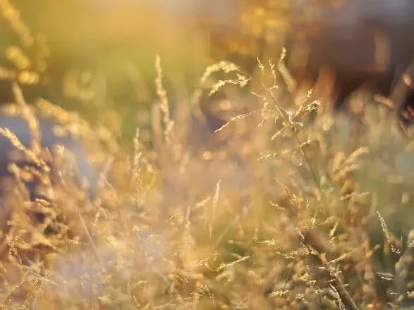 Дощі на півночі і сході та до +30°: прогноз погоди на сьогодні