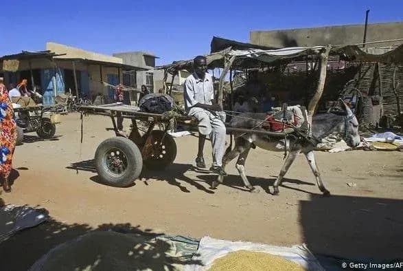 Влада Судану уклала мир з повстанцями