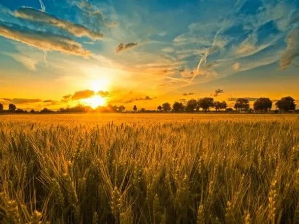 Світовий конгрес українців засудив рішення суду в РФ щодо ліквідації організації “Сірий Клин”