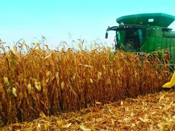 Сільгоспвиробники вже зібрали 41,2 млн тонн основних культур - Мінекономіки