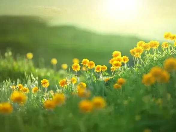 Дощі на заході на до +36° на півдні: прогноз погоди на сьогодні