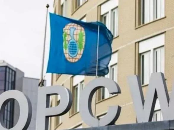 В ОЗХО заявили, что отравление Навального считается применением химического оружия