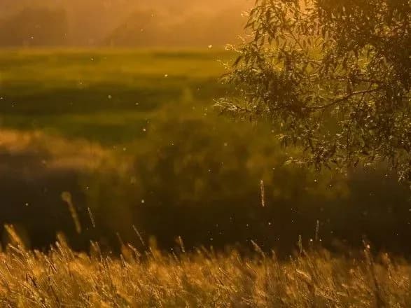 Від 8° до 27° тепла: прогноз погоди на сьогодні