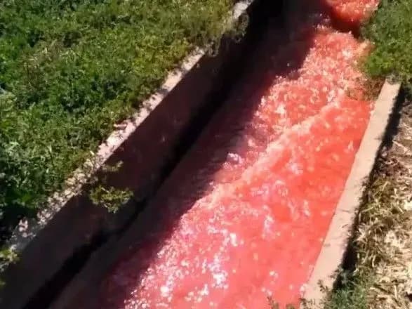 Прокуратура не може знайти винних у "кривавих ріках" на Волині