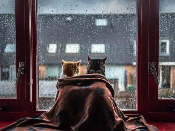 Від 10° до 30° тепла: прогноз погоди на сьогодні