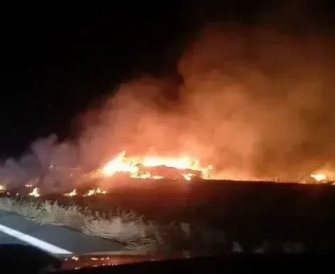 Авиакатастрофа в Харьковской области: в Воздушных силах сообщили о погибших и травмированных