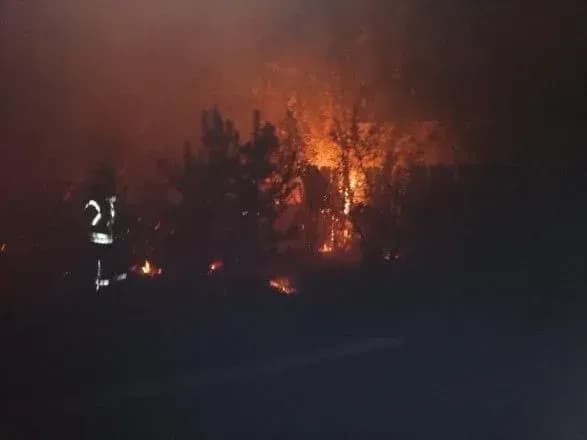 У лісових пожежах на Луганщині загинуло щонайменше 3 людини, є постраждалі - Венедіктова