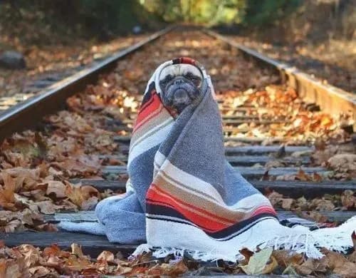 Від 7° до 23° тепла: прогноз погоди на сьогодні