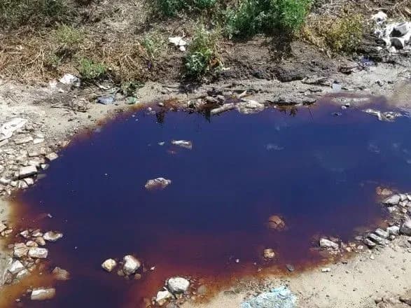 У Первомайську недбальство підприємців спричинило екокатастрофу - ДЕІ