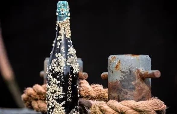 У Німеччині придумали ексклюзивний алкоголь з морськими жолудями на пляшці