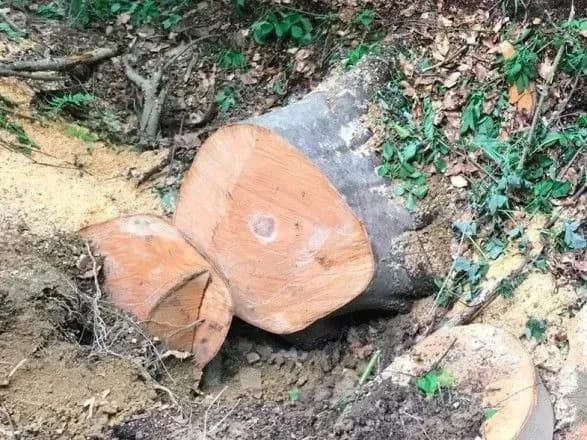 Держекоінспекція планує вдвічі підвищити штрафи за екопорушення у заповідниках