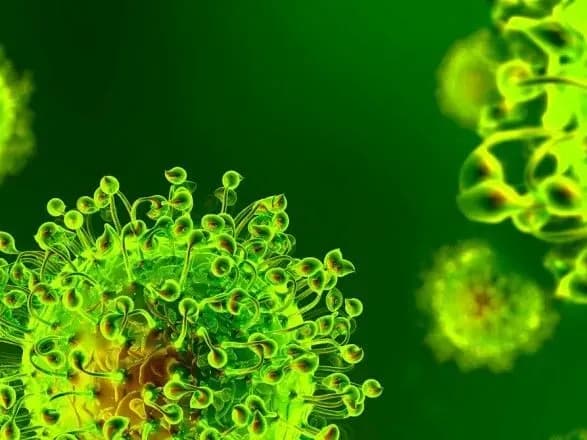 У Львові через COVID-19 на карантин закрили три дитсадки