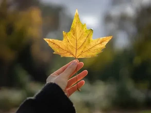 Від 1° до 16° тепла: прогноз погоди на сьогодні