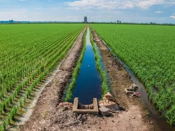 Кабмін затвердив план реалізації стратегії зрошення та дренажу до 2030 року