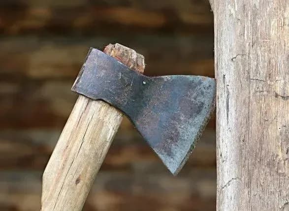 У Чехії 87-річна жінка пограбувала ресторан, зламавши вікно сокирою