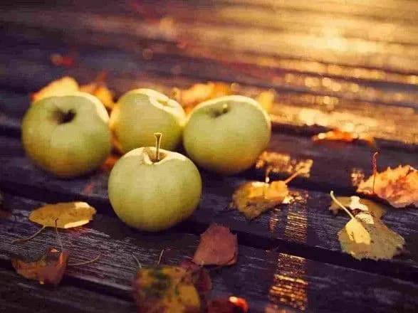 Від 3° до 20° тепла: прогноз погоди на сьогодні