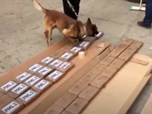 У порту "Південний" у контейнері з бананами знайшли 50 кг кокаїну