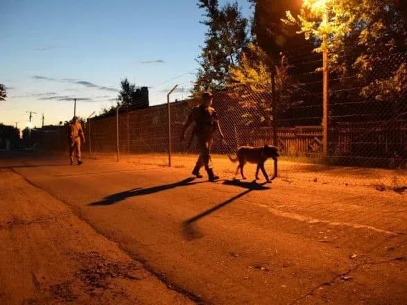 Степанов пояснив, коли можуть ввести комендантську годину в Україні