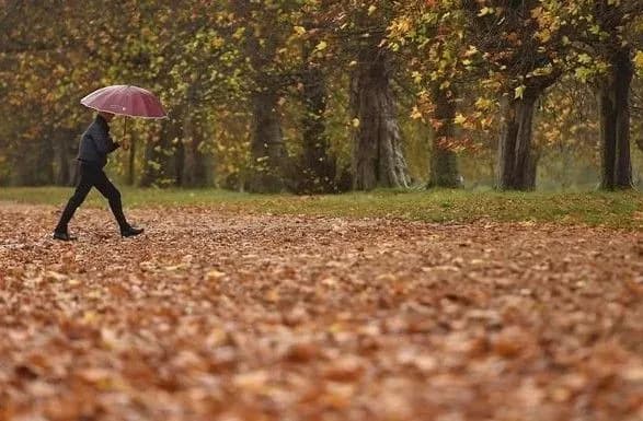 Дожди, туманы и до 15° тепла: прогноз погоды на сегодня