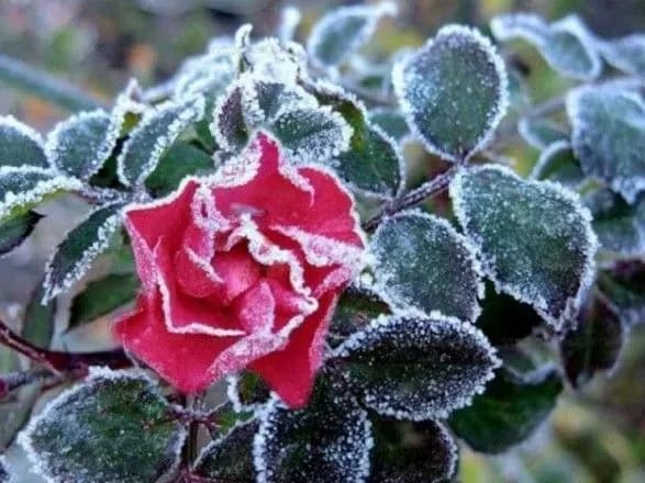 Від 4° морозу до 9° тепла: прогноз погоди на сьогодні