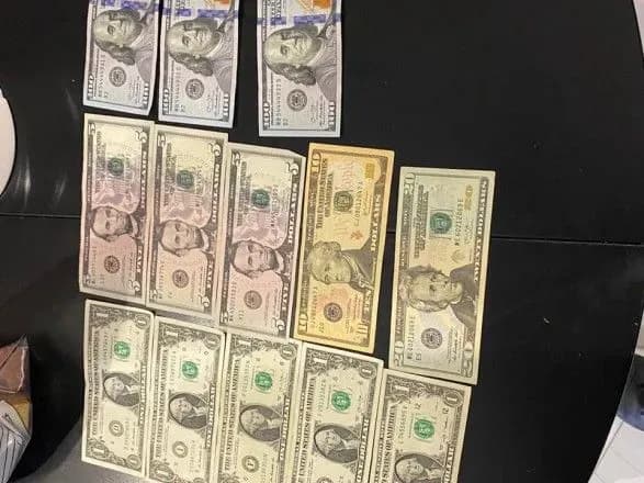 На Рівненщині правоохоронці під час обшуків вилучили понад 26 кг бурштину