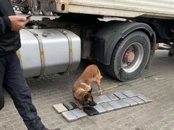 Через Одеський порт знову хотіли завезти партію кокаїну у бананах