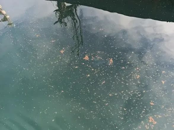 Вміст нафтопродуктів біля буксира "Аметист" перевищує норму у майже 4 рази - Держекоінспекція