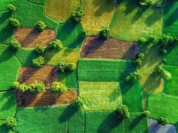 Рада не стала підтримувати земельний закон