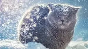 Синоптики дали прогноз погоди на неділю та початок наступного тижня