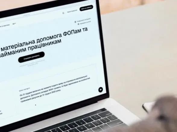 Понад 260 тис. українців оформили через "Дію" заявки на виплату "карантинних" 8 тис. грн