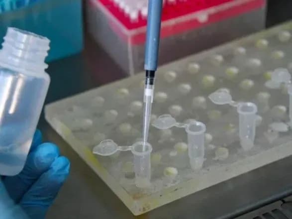 Пандемія: новий різновид COVID-19 у Великій Британії виявили ще у вересні