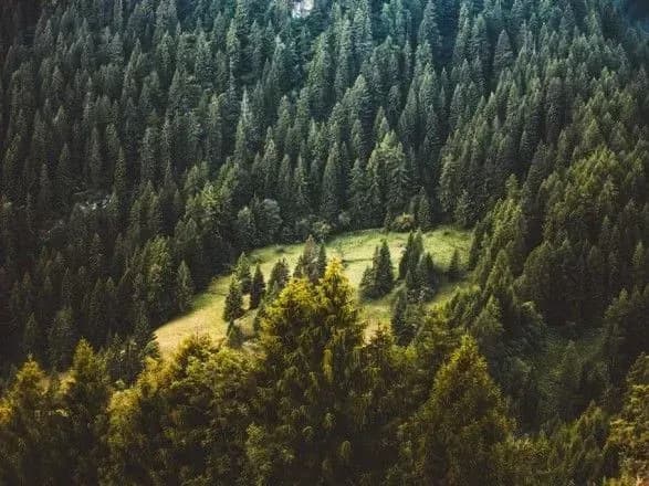 Низку парків та заповідників передали Міндовкілля: перелік