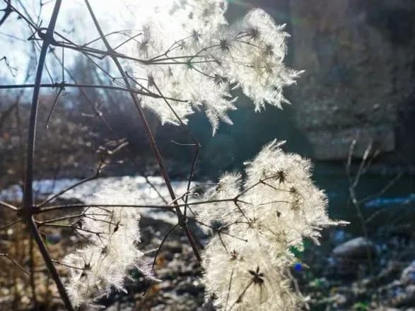 У Криму аномально тепло: зафіксовано температурний рекорд