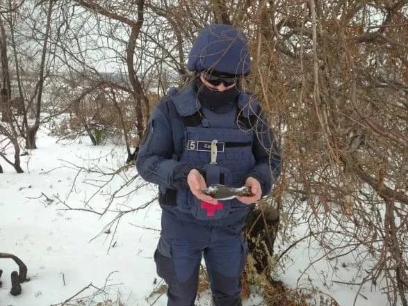 Піротехники в зоні ООС за тиждень знешкодили понад 250 вибухонебезпечних предметів