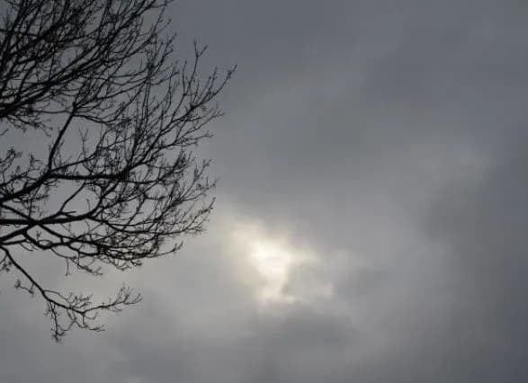 Дощі й тумани та до 10° тепла: прогноз погоди на сьогодні