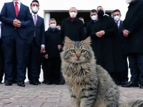 У Ердогана з'явився канал у Telegram