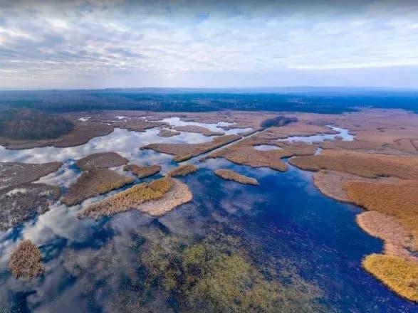 "Прогулятися" онлайн: в Україні "оцифрували" ще 10 нацпарків