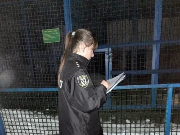 На Чернігівщині тигр загриз працівника зоопарку