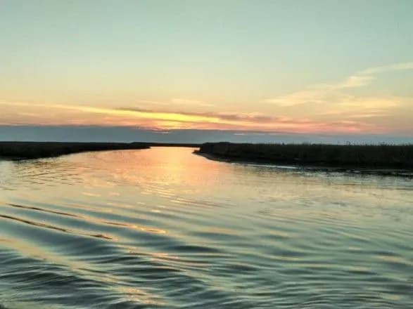 У Криму прискорюється забруднення води і ґрунту затоки Сиваш важкими металами - вчені