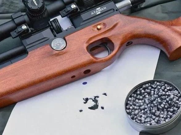 Помстився за птицю: на Одещині чоловік застрелив собаку хаскі з пневматичної рушниці