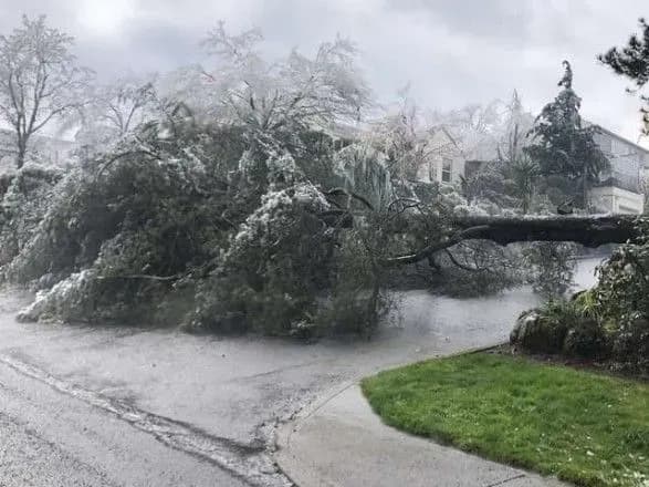 Сніговий шторм у США забрав життя 58 людей
