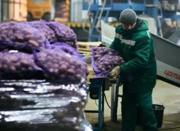 Вегі Тренд. В овочесховищі під Києвом відкрився унікальний митний термінал