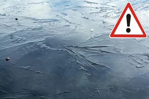 Дама з собачкою: у столиці врятували жінку, яка ледь не потонула рятуючи домашнього улюбленця